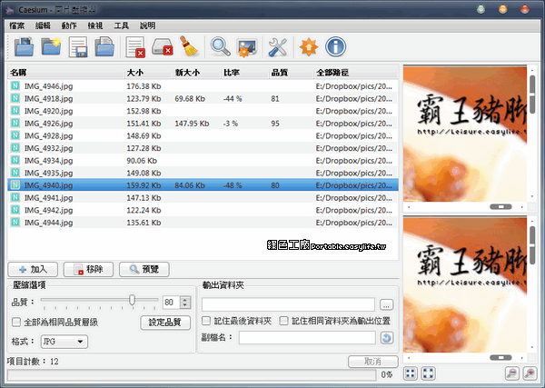 Caesium Image Compressor 2.1.0 想要壓縮圖片時有品質有效率嗎？