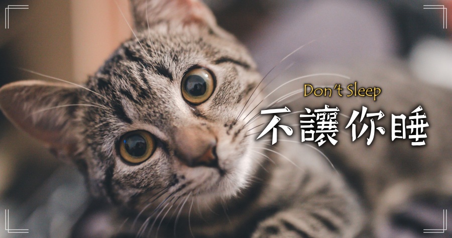 Don't Sleep 9.63.1 防止電腦待機或關機的小工具