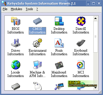 ReSysInfo System Information Viewer
