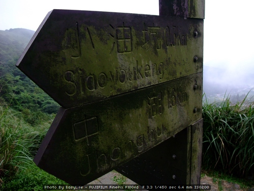 陽金公路上竹子湖