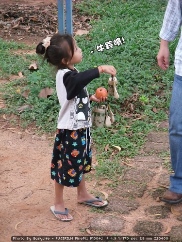 吳哥窟遊記。女皇宮。(十六)