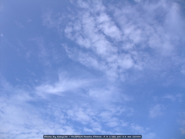 巴拉卡。陽金。北海岸