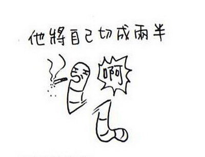 蚯蚓的再生能力