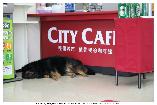 滿月圓。熱爆的初夏晨騎