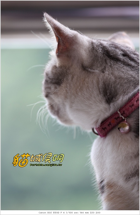 貓城侯硐＆不厭亭鳥瞰侯硐