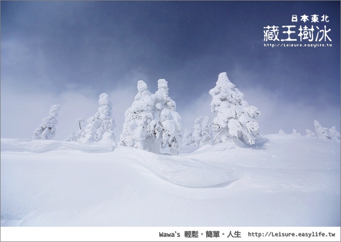 【日本東北】藏王樹冰。難得一見的世界級美景，雪怪出沒請注意！