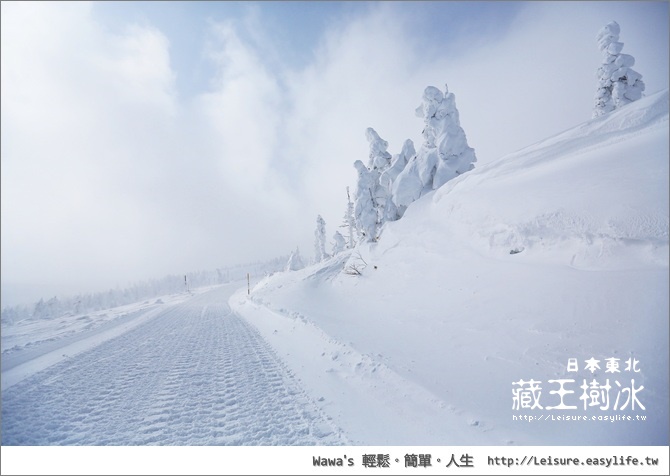 藏王樹冰。日本東北旅遊