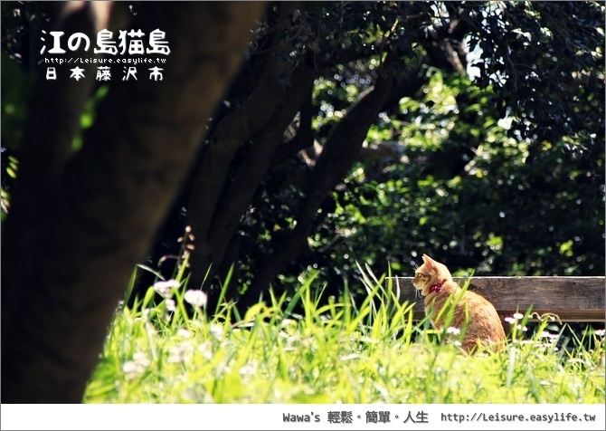 和平島怎麼去