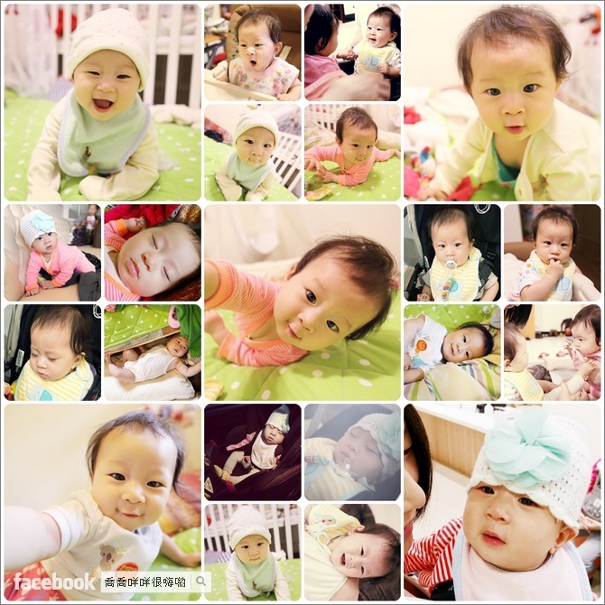 轉眼間就滿六個月了！進入爬蟲類的生活了 5M30D-6M6D