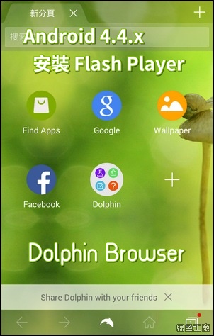 dolphin browser windows