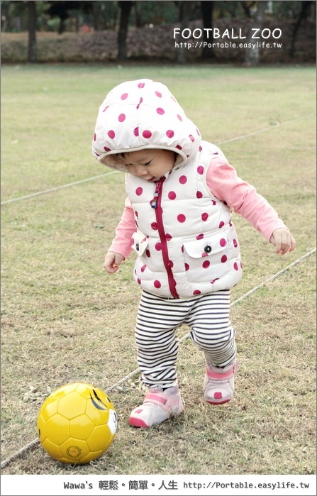 FOOTBALL ZOO 日本專業手工縫製兒童足球