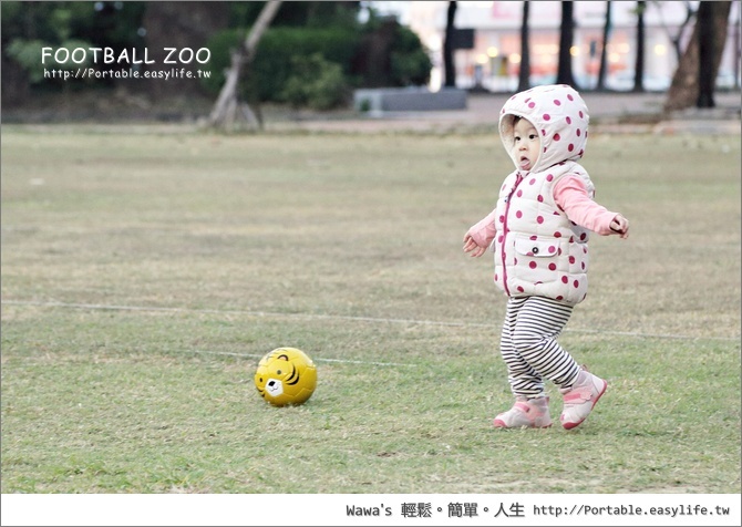 FOOTBALL ZOO 日本專業手工縫製兒童足球
