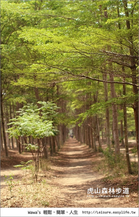 虎山國小森林步道、西瓜山森林步道