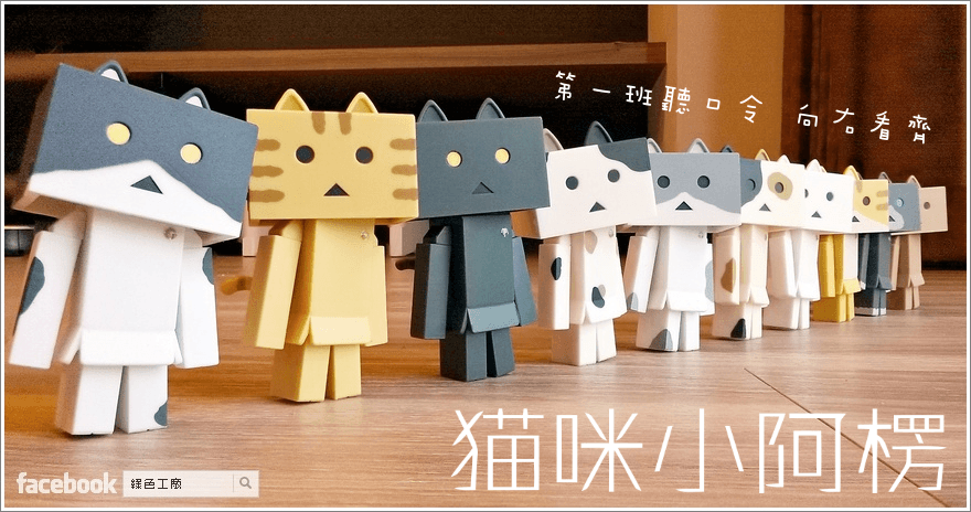 【開箱】貓咪小阿楞來囉～家裡突然又多了十隻喵楞！
