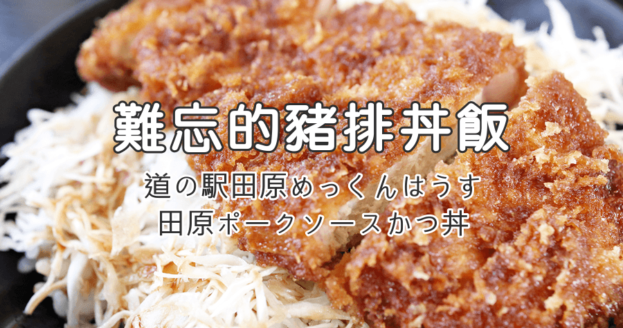 【田原】讓人難忘的美味炸豬排丼，道路休息站兼具美食與市集唷！
