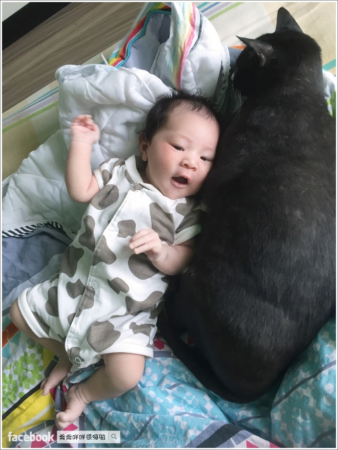 在家很無聊的姊姊、對妹妹很好但是很粗魯、互相干擾的生活、晾著妹妹自己哭、偷咬妹妹、入迷軌道車、一打二頂不住、我講話像公雞一樣 2Y9M11D&0M25D-2Y9M17D&0M31D