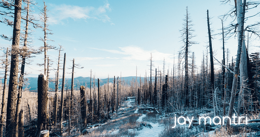 jay mantri 無版權 CC0 圖庫，不當醫生的攝影師