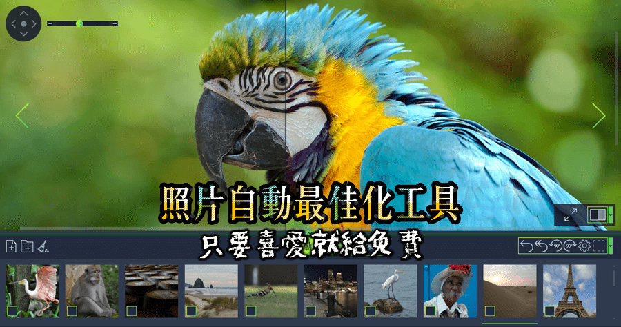沒有修圖工具無所謂，有 Ashampoo Photo Optimizer 2025 就足夠！