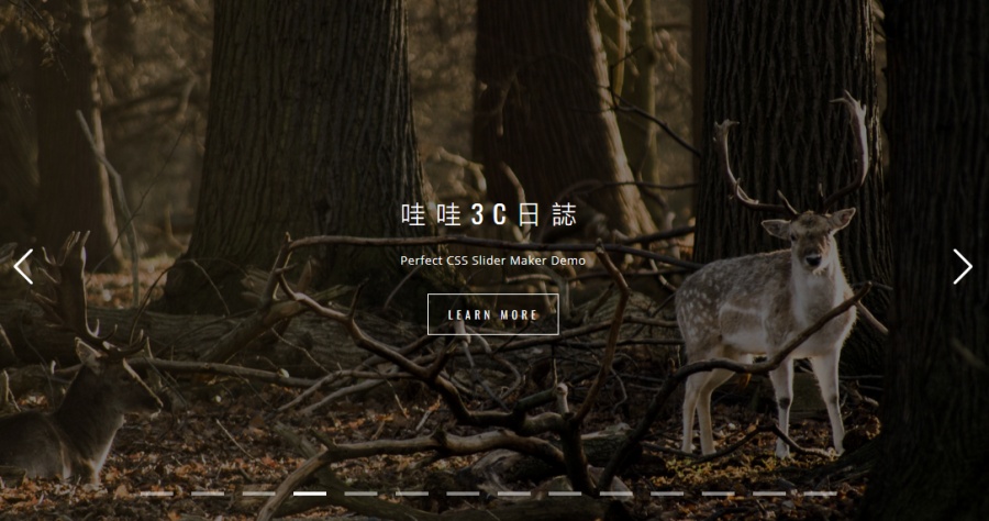 限時免費 Perfect CSS Slider Maker 輕鬆打造簡單好看的 CSS 相簿