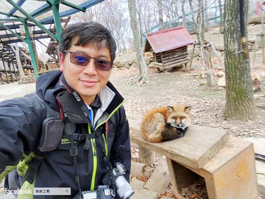 藏王狐狸村，日本東北宮城仙台旅遊