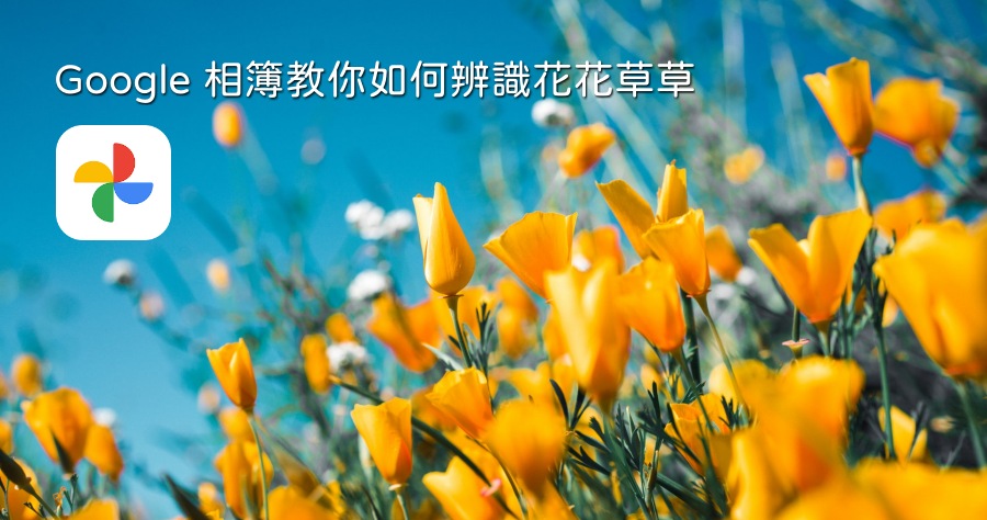 Google 相簿教你如何辨識花花草草！形色 APP 靠邊站
