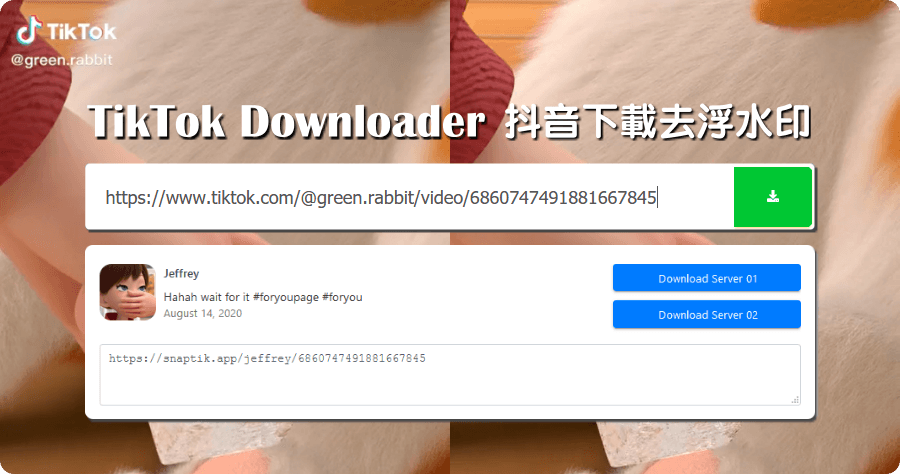 TikTok Downloader 抖音下載去浮水印教學，手機與電腦通通支援