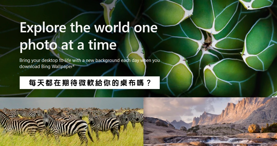 Bing Wallpaper 微軟自動更換桌布軟體，讓你每天都能擁有不同桌布樣貌！