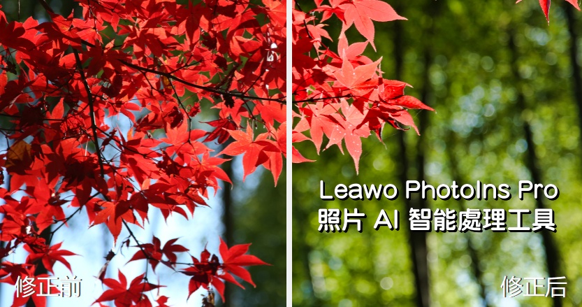 限時免費 Leawo PhotoIns Pro 照片 AI 智能處理工具，懶人修圖選這個就對了！