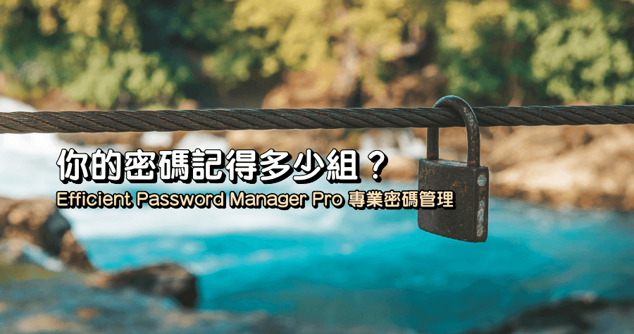 限時免費 Efficient Password Manager Pro 5.60 專業密碼管理，再也不怕忘記密碼