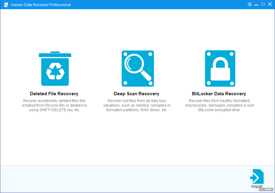 Hasleo Data Recovery Professional 檔案救援工具