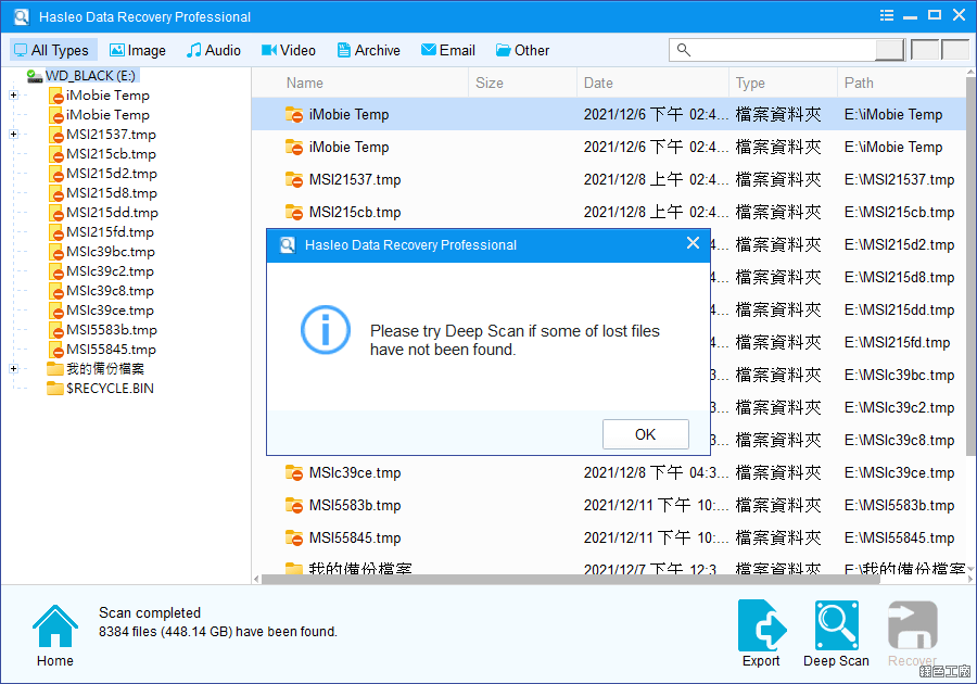Hasleo Data Recovery Professional 檔案救援工具