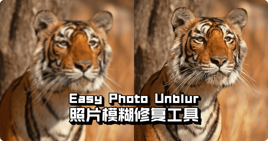 Easy Photo Unblur 圖片模糊修復工具