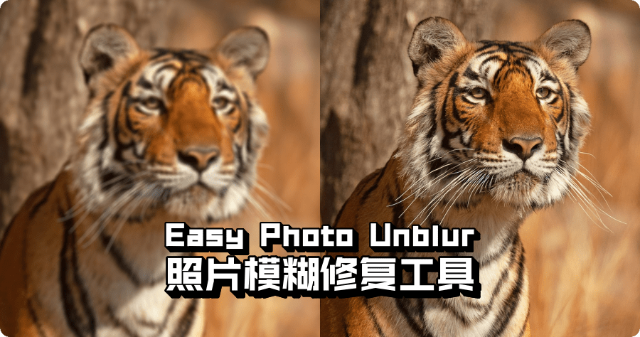 限時免費 Easy Photo Unblur 10.0 圖片模糊修復工具