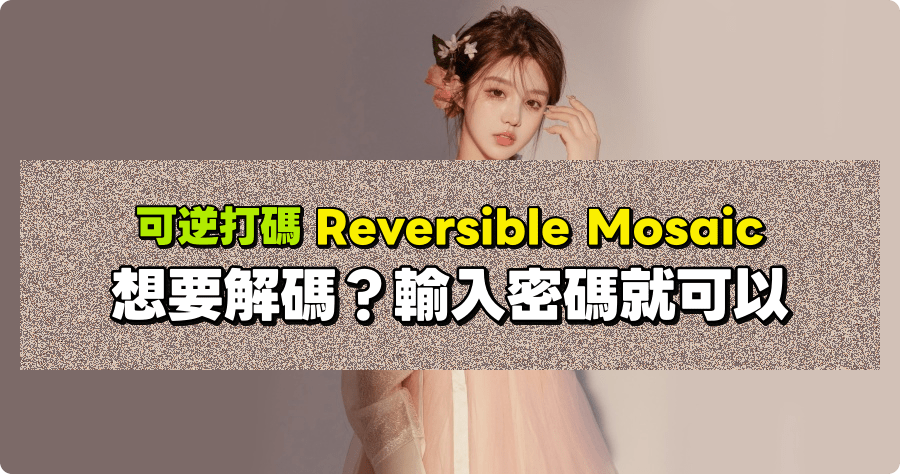 可逆打碼 Reversible Mosaic 用密碼解除馬賽克