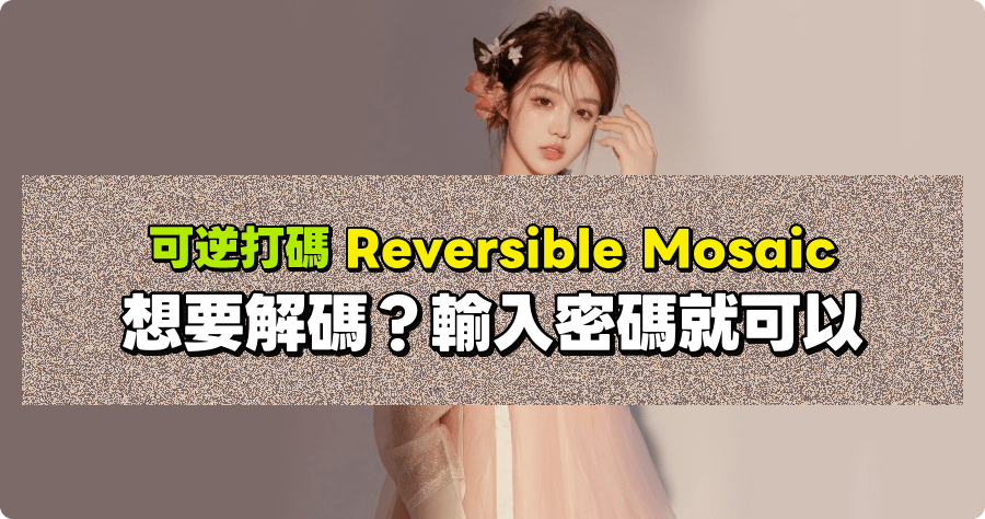 可逆打碼 Reversible Mosaic 用密碼打馬賽克 / 解除馬賽克