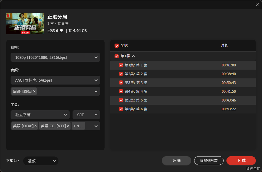 ViWizard Netflix Video Downloader 高畫質下載工具