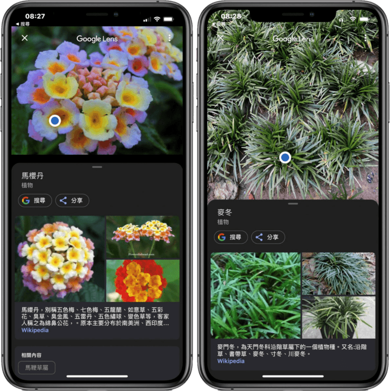 未聞花名 ? Google 相簿一鍵幫你辨識 !