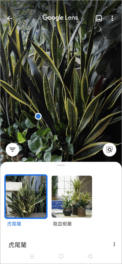Google 智慧鏡頭 App，能為生活帶來便利的六種聰明功能！