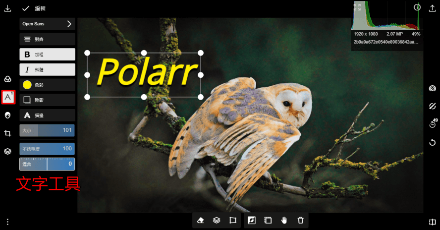 Polarr 最潑辣的修圖軟體，輕鬆讓你變成專業修圖大師！