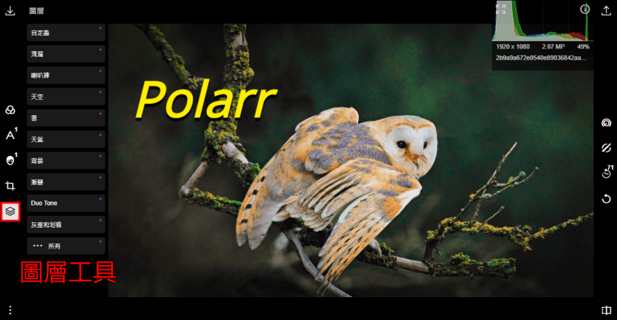 Polarr 最潑辣的修圖軟體，輕鬆讓你變成專業修圖大師！