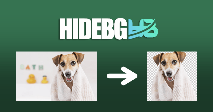 HIDEBG 免費線上圖片編輯工具，要去背/模糊背景/卡通化/背景黑白都可以！
