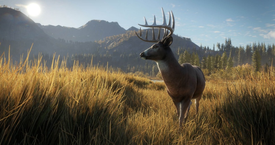 Epic 本周推出大獲好評的《theHunter: Call of the Wild™》限免狩獵遊戲，想當獵人就從現在開始！