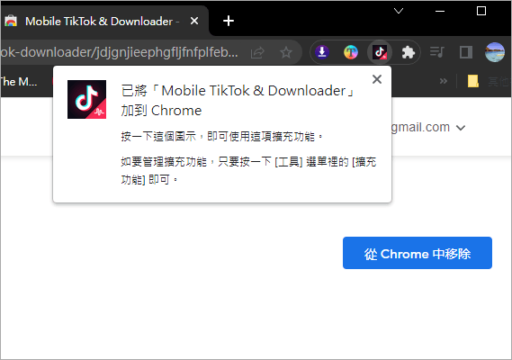 Mobile TikTok & Downloader 超方便的 TikTok 下載工具，只需一鍵便可輕鬆下載影片！