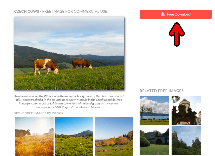 LibreShot 免費高畫質商用圖庫，全部 CC0 授權任何用途都可使用！