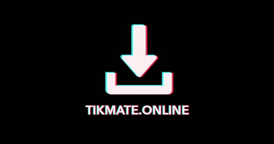 TikMate 線上無浮水印 TikTok 影片下載器，不僅免費速度快還高畫質！