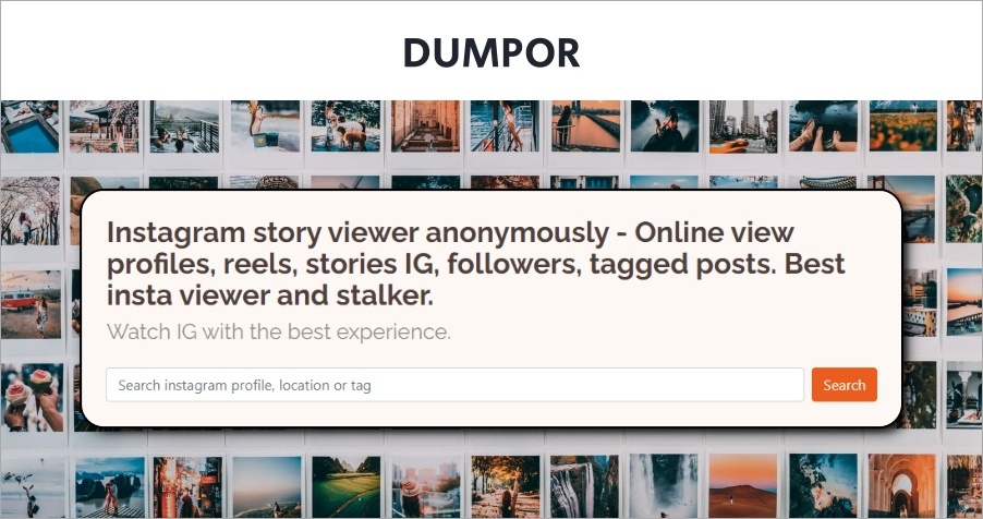DUMPOR 線上 IG 匿名查看神器，支援免費下載 IG 影片、照片！