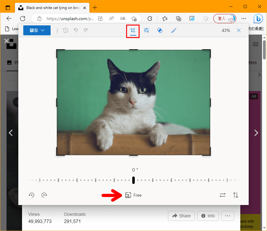 Edge 推出「編輯影像」超實用新功能，直接在網站中處理圖片免下載軟體！