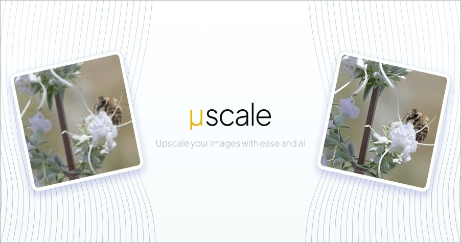 µScale 大師級免費圖片放大神器，輕鬆放大 4 倍畫質還超清晰！
