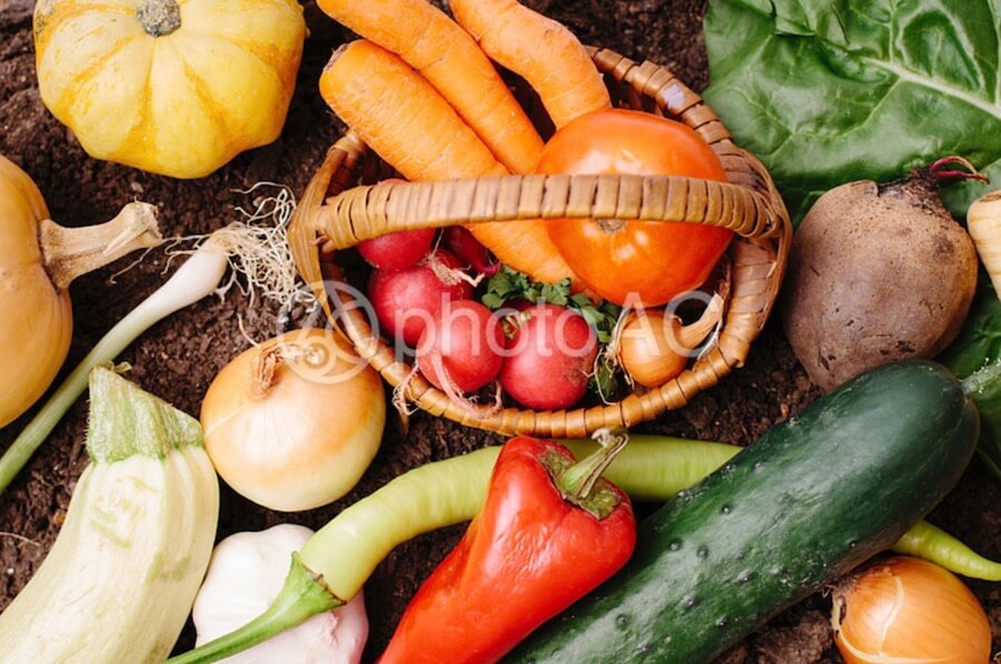 蔬菜 南瓜 食品 健康