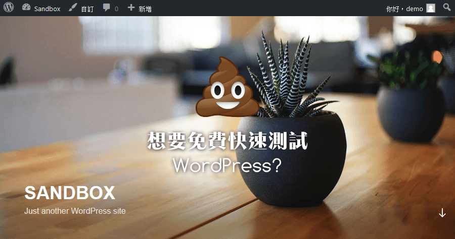 Poopy.life 快速建立拋棄式網站，WordPress 外掛、佈景測試開大絕！